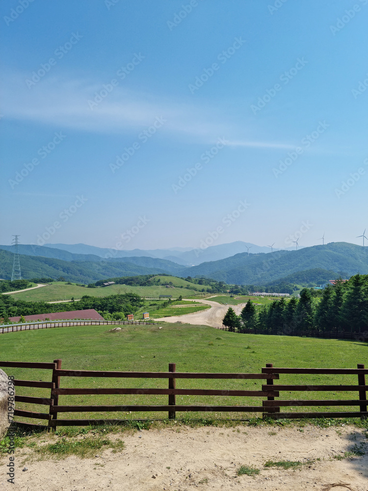 This is the scenery of a sheep ranch in Korea.