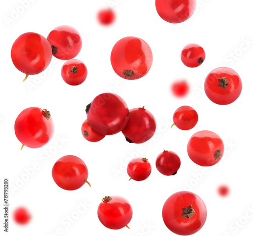 Fresh red currants falling on white background