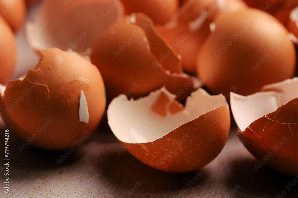 Macro photography of eggshells. Food concept. Macro photography of eggshells. Food concept.