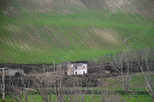 A dirt road leads to a two storey white and terracotta brick farmhouse and a shed. A steep green field, recently ploughed, is in the background. Bare trees are in the foreground. © Anne