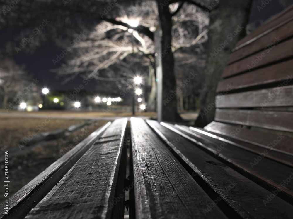 Tokyo, Japan - January 26, 2024: A bench in a park at dawn in Tokyo, Japan
Tokyo, Japan - January 26, 2024: A bench in a park at dawn in Tokyo, Japan