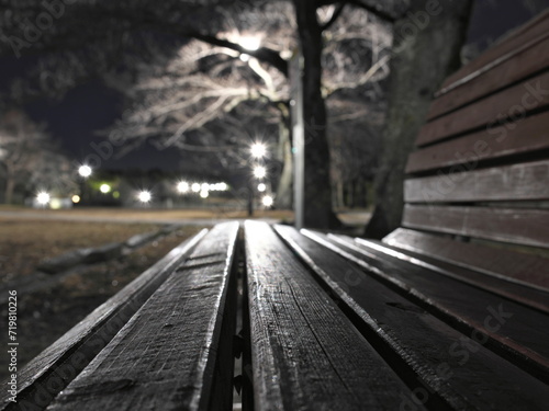 Tokyo, Japan - January 26, 2024: A bench in a park at dawn in Tokyo, Japan 