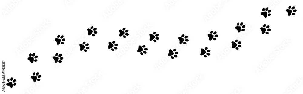 Paw foot trail print Paw foot trail print