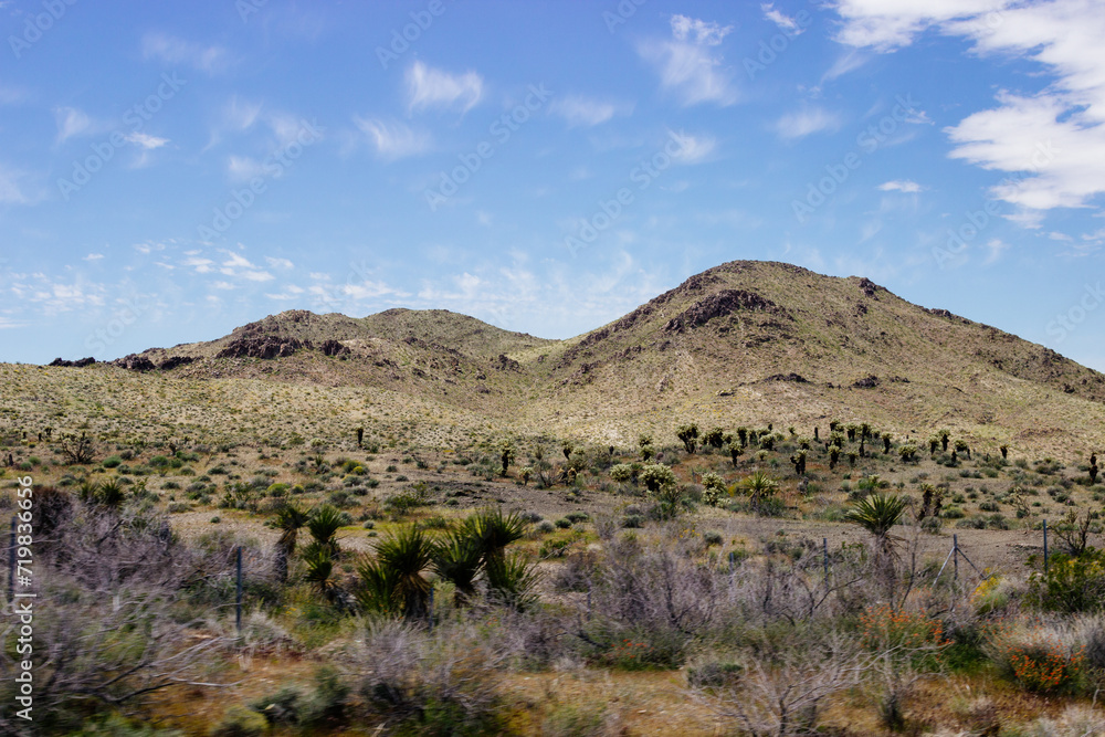 Beautiful blue sky with fluffy clouds over mountains covered with yellow grass and green bushes on a sunny day. Arizona nature in spring and summer. Desert in Arizona on sunny summer day Beautiful blue sky with fluffy clouds over mountains covered with yellow grass and green bushes on a sunny day. Arizona nature in spring and summer. Desert in Arizona on sunny summer day