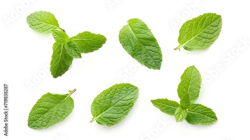 Set of bright mint leaves isolated on white background. : Generative AI