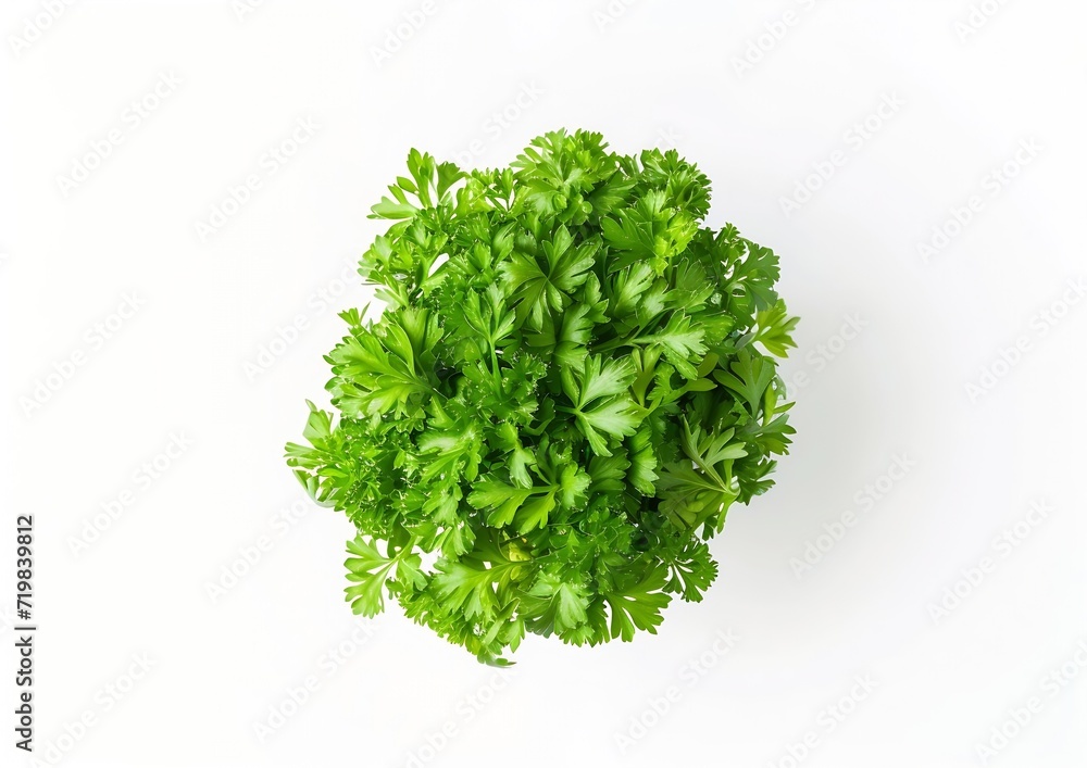 Obraz premium Parsley. Parsley isolated. Parsley on white. Top view. : Generative AI