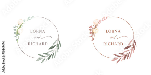 Minimalist botanical circle frame, olive branch and tulips