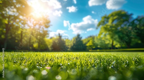 Beautiful blurred background image of spring nature with a neatly trimmed lawn surrounded by trees against a blue sky with clouds on a bright sunny day. copy space - generative ai © Nia™