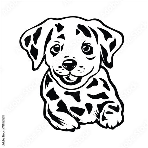 Puppy on black and white vector for illustration and background