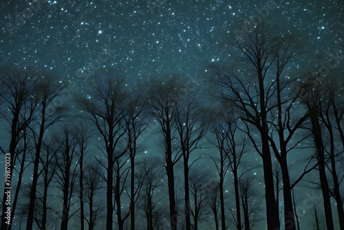 Night sky with stars and silhouettes of trees in the forest