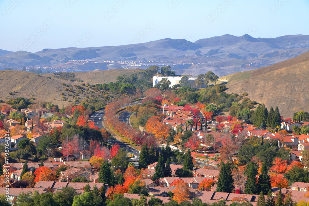 Trees in San Ramon show brilliant fall foliage come mid-November in the San Francisco Bay Region of Northern California