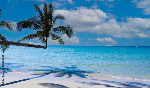 Fototapeta Naklejka Na Ścianę i Meble -  Summer palm tree  and Tropical beach with  Aqua waves and coconut palm shadow on blue background.