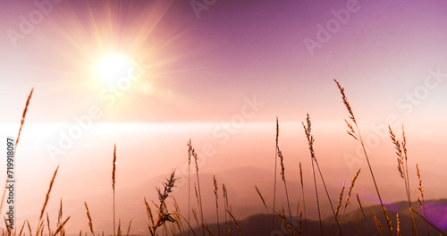 Sunset grass wind autumn meadow in countryside. Beautiful sunset golden grass field beautiful natural flora sunlight outdoor flare. Rural landscape nature plant scene crop view. Morning countryside