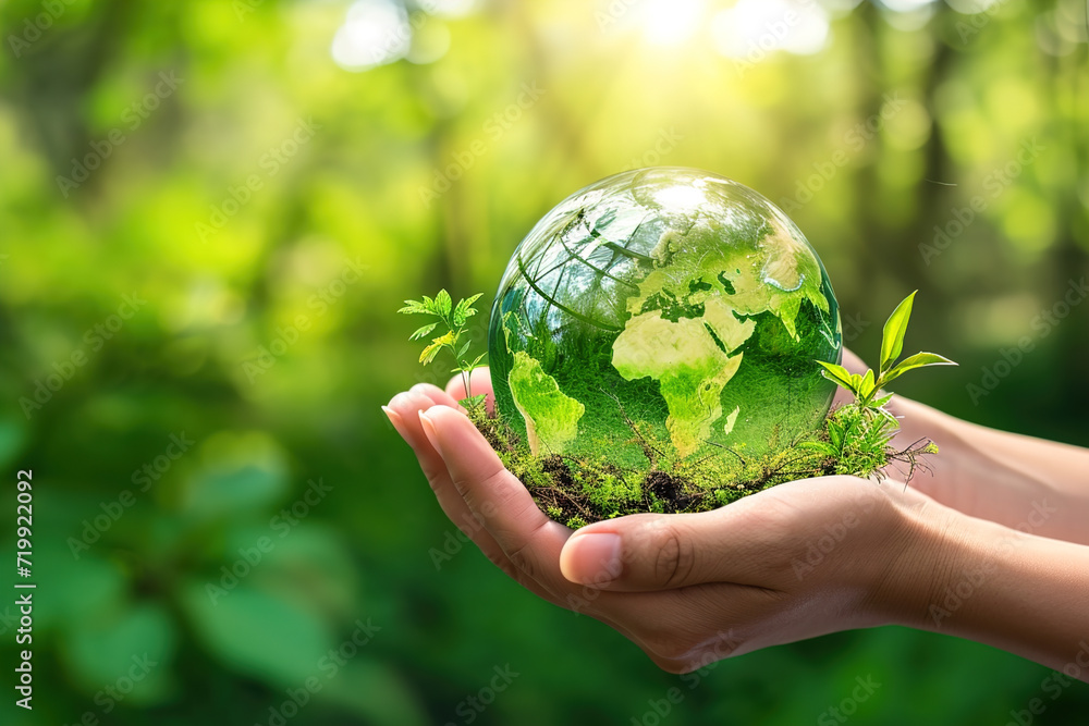 Hand hold green earth globe, environmentally friendly practices and strategies to promote sustainability and reduce their ecological footprint Hand hold green earth globe, environmentally friendly practices and strategies to promote sustainability and reduce their ecological footprint