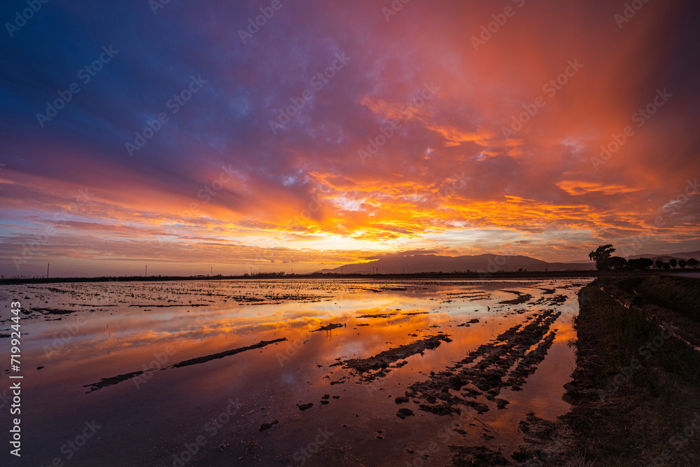 Obraz premium sunset on the beach