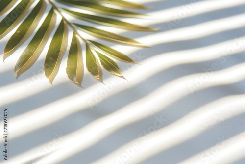In a close-up view, palm leaves reveal intricate details, with shadows casting captivating stripes, creating a visually dynamic and tropical scene.