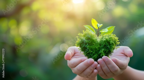 Little green plant in human hands with nature bokeh background.