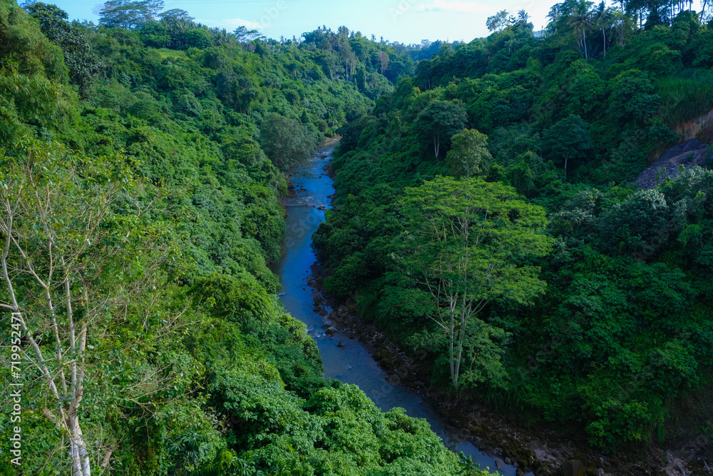Aerial perspective of a serene river meandering through a dense tropical forest