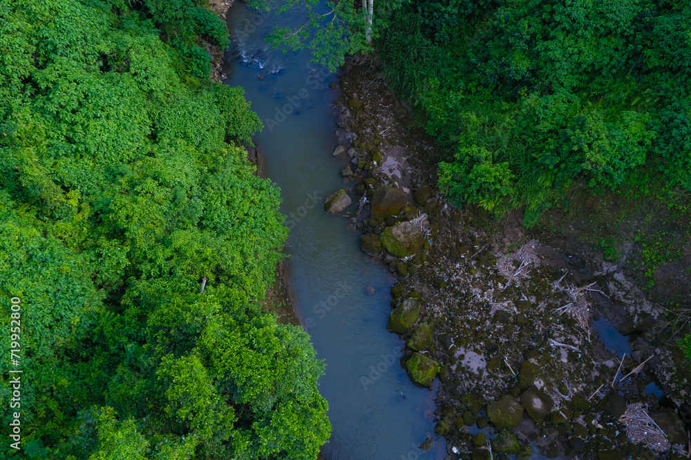 Vivid green rainforest with a river flowing through, from an elevated viewpoint Vivid green rainforest with a river flowing through, from an elevated viewpoint