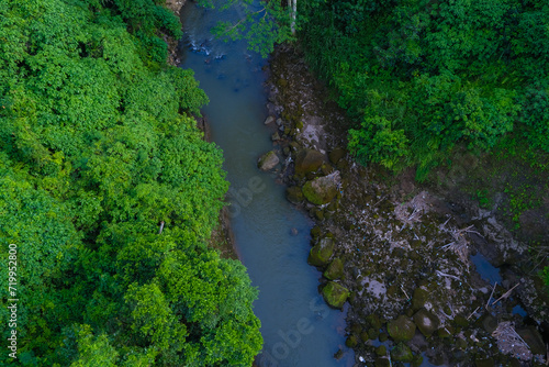 Vivid green rainforest with a river flowing through  from an elevated viewpoint