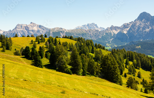 Summer sunny day at Dolomitic Alps: green forested Goma Pass. © JackF