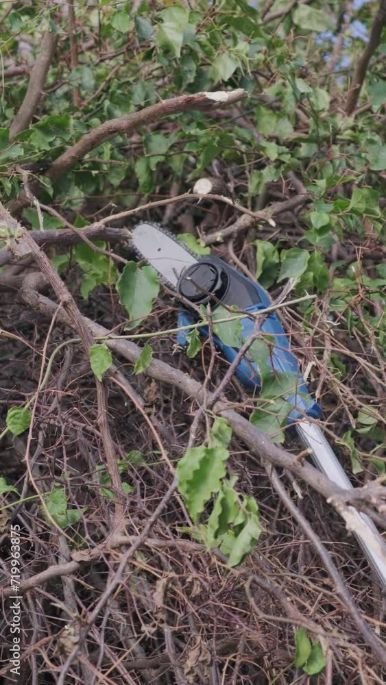 An elongated chainsaw . Pruning of trees. A worker cuts a tree with an electric saw . High quality 4k footage An elongated chainsaw . Pruning of trees. A worker cuts a tree with an electric saw . High quality 4k footage