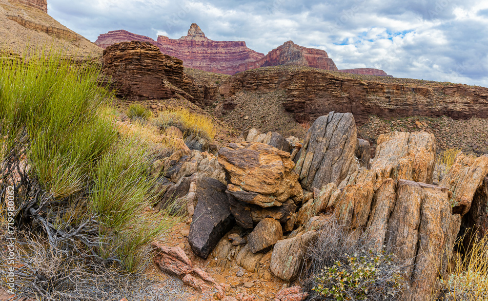 Sandstone Formations and Zoroaster Temple in The Distance Along The Clear Creek Trail, Grand Canyon National Park, Arizona, USA