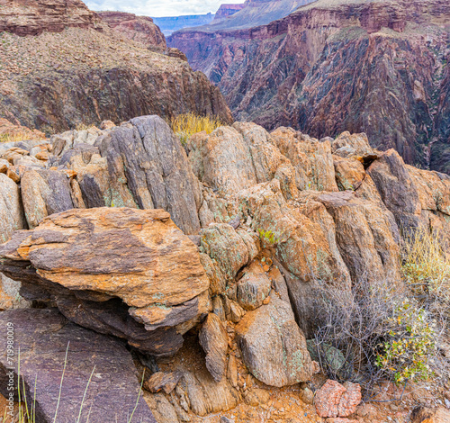 Navajo Sandstone Formations Along The Clear Creek Trail  Grand Canyon National Park  Arizona  USA