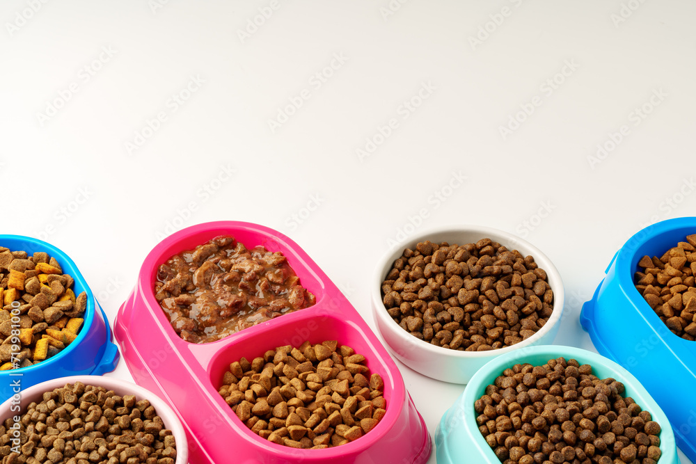 Plastic pet bowls with food isolated on white background Plastic pet bowls with food isolated on white background