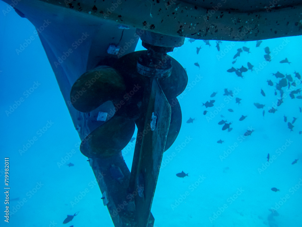 Boat propellers under the hull and Underwater. Lots of fish around the