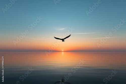 Seagull on sunrise, minimalistic silhouette of a bird flying over the horizon at dawn, Silhouette of a seagull © VisionCraft