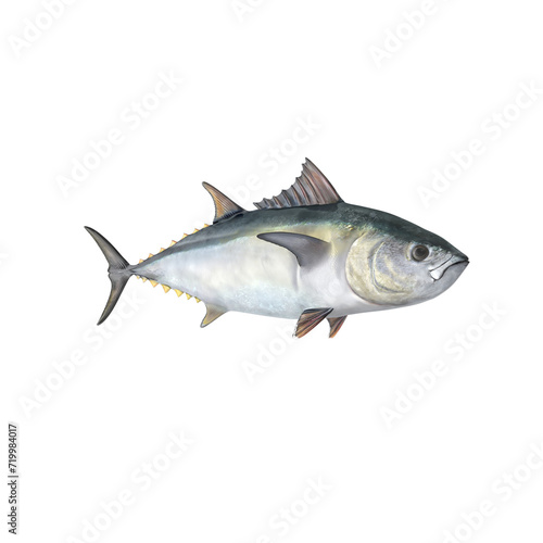 Tuna Fish PNG