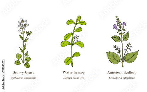 Collection of edible and medicinal plants