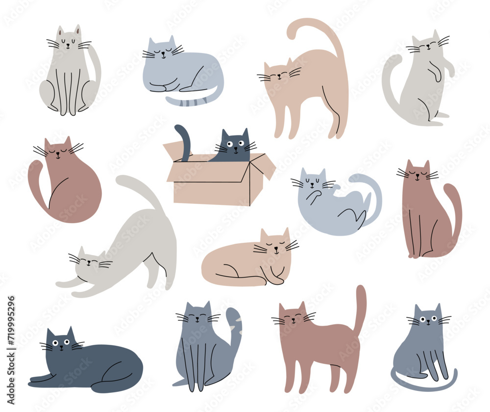 Fototapeta Cute cat collection. Funny pets. Hand drawn domestic animals sketch. Cartoon doodle vector set.