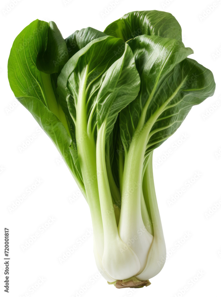 Fresh green bok choy isolated on a white background a healthy and organic vegetable Fresh green bok choy isolated on a white background a healthy and organic vegetable