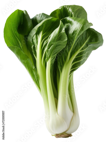 Fresh green bok choy isolated on a white background a healthy and organic vegetable 
