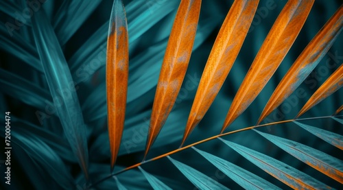a close up view of a palm leaf