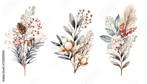 Botanical bouquet illustration set. Beautiful red berry, white cotton, beige, green branch and leaves bouquet on white background.  Vector illustration