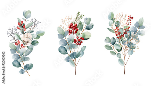 Botanical bouquet illustration set.  Beautiful eucalyptus and red berry bunch on white background. Red, white, green branch and leaves. Vector illustration