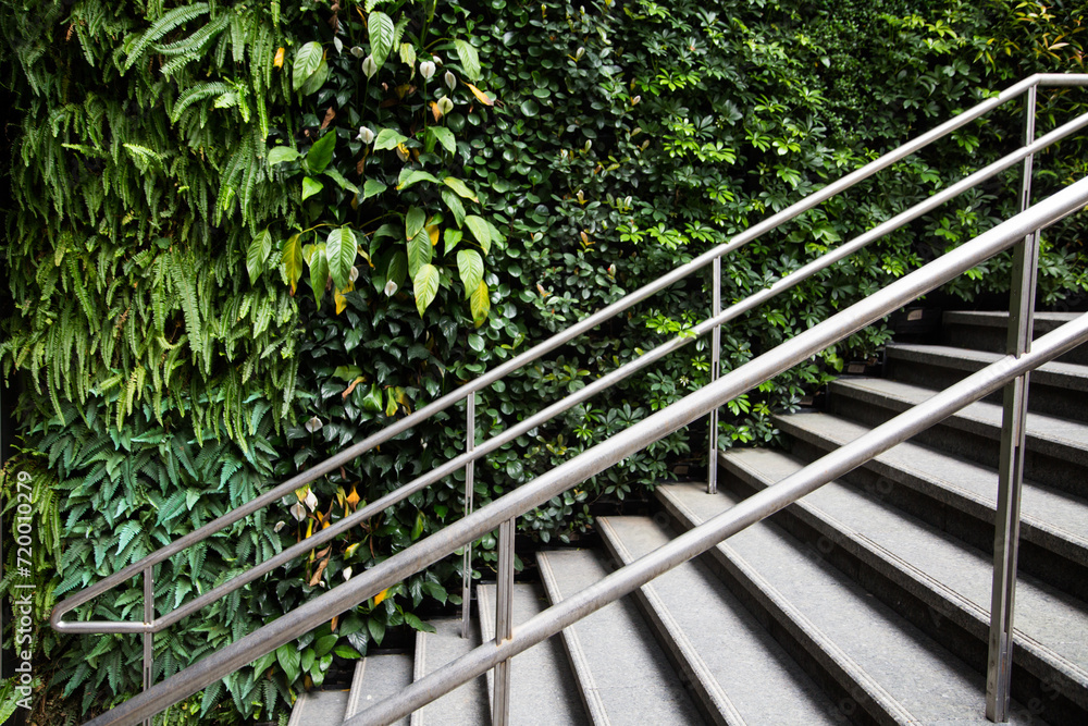 Green background wall with layers of green hues Green background wall with layers of green hues