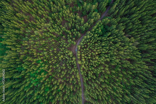 Fototapeta Naklejka Na Ścianę i Meble -  Aerial view of dark green forest road and white electric car Natural landscape and elevated roads Adventure travel and transportation and environmental protection concept	