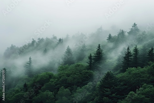 Photography of Mist © twilight mist