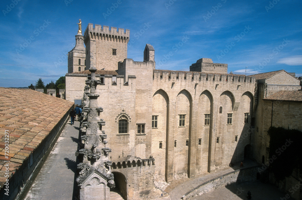 Cité des papes, Avignon, Vaucluse, 84, France