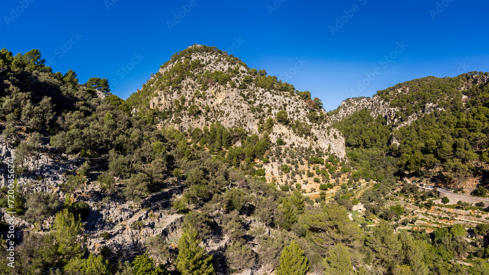 Puig de n'Escuder, and Olivar, Els Horts, green route of the olive tree,Caimari, Mallorca, spain Puig de n'Escuder, and Olivar, Els Horts, green route of the olive tree,Caimari, Mallorca, spain