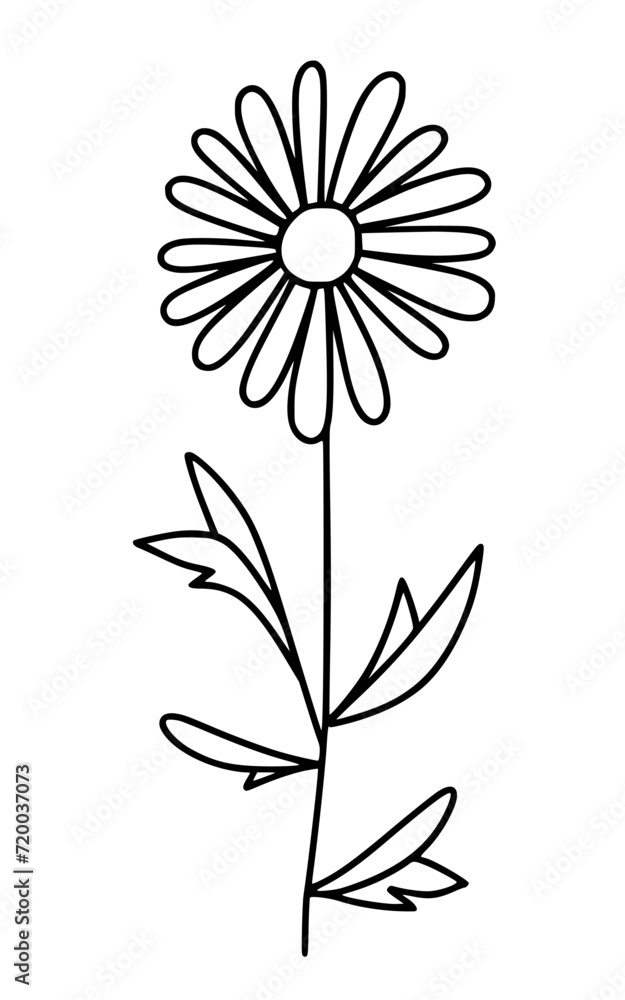 Abstract wall art. Spring illustration. Line art flowers vector clipart. Abstract wall art. Spring illustration. Line art flowers vector clipart.