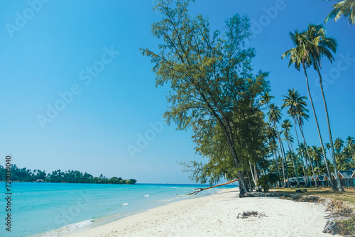 Tropical beach at Koh Kood, Thailand. turquoise sea water, ocean wave, yellow sand, green palms, sun blue sky, white clouds, beautiful seascape, summer holidays, exotic island vacation. © SandyHappy
