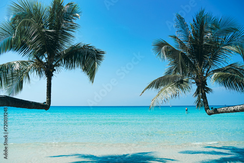 Palm Beach In Tropical Idyllic Paradise in Koh Kood island  Thailand. Beautiful tropical beach blue sky and coconut palm trees. Coconut trees  palm trees at tropical coast on beach.