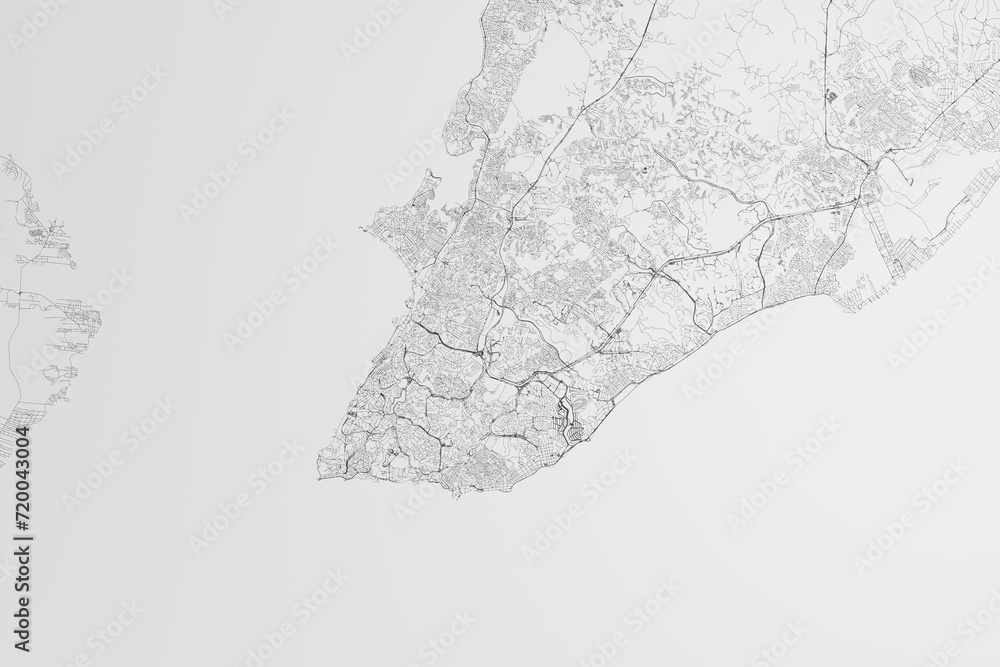 Map of the streets of Salvador (Brazil) on white background. 3d render, illustration