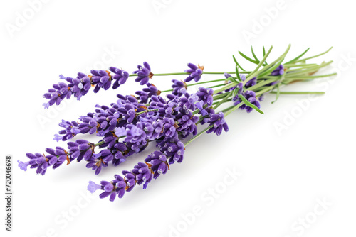 Bunch of lavender flowers isolated on a white background.