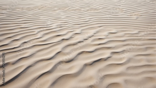 砂丘の風紋